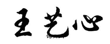 胡问遂王艺心行书个性签名怎么写