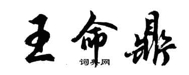 胡问遂王命鼎行书个性签名怎么写