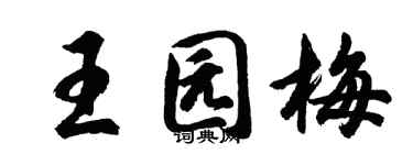 胡问遂王园梅行书个性签名怎么写