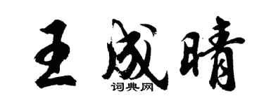 胡问遂王成晴行书个性签名怎么写