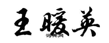 胡问遂王暖英行书个性签名怎么写