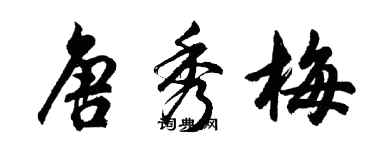 胡问遂唐秀梅行书个性签名怎么写
