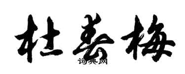 胡问遂杜春梅行书个性签名怎么写