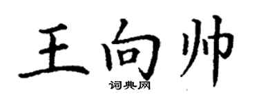 丁谦王向帅楷书个性签名怎么写