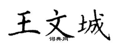 丁谦王文城楷书个性签名怎么写