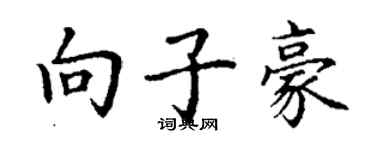 丁谦向子豪楷书个性签名怎么写