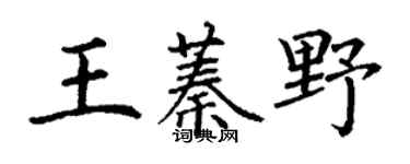 丁谦王蓁野楷书个性签名怎么写