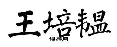 翁闿运王培韫楷书个性签名怎么写