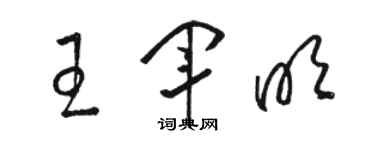 骆恒光王军明草书个性签名怎么写