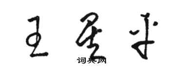 骆恒光王星平草书个性签名怎么写