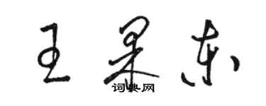 骆恒光王果东草书个性签名怎么写