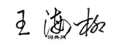 骆恒光王海柳草书个性签名怎么写