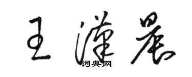 骆恒光王汉晨草书个性签名怎么写