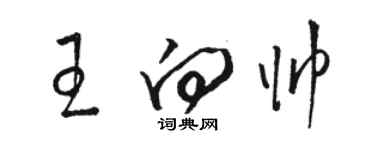 骆恒光王向帅草书个性签名怎么写