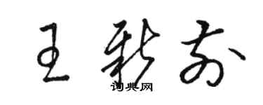骆恒光王新前草书个性签名怎么写