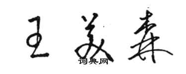 骆恒光王美森草书个性签名怎么写