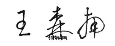 骆恒光王森南草书个性签名怎么写