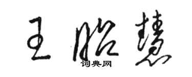 骆恒光王昭慧草书个性签名怎么写