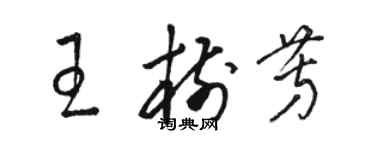 骆恒光王树芳草书个性签名怎么写