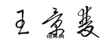 骆恒光王景双草书个性签名怎么写