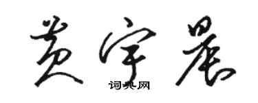 骆恒光黄宇晨草书个性签名怎么写