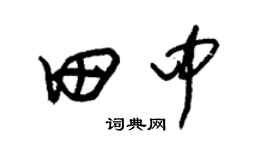 朱锡荣田中草书个性签名怎么写