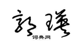 朱锡荣郭瑛草书个性签名怎么写