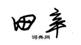 朱锡荣田辛草书个性签名怎么写