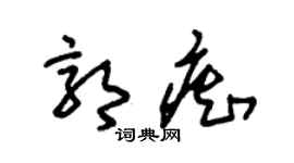 朱锡荣郭痴草书个性签名怎么写