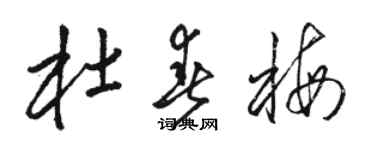 骆恒光杜春梅草书个性签名怎么写