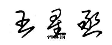 朱锡荣王星丞草书个性签名怎么写