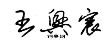 朱锡荣王兴宸草书个性签名怎么写