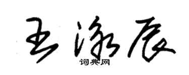 朱锡荣王泳辰草书个性签名怎么写