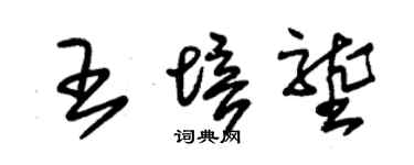 朱锡荣王培垄草书个性签名怎么写