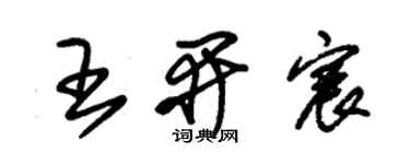 朱锡荣王开宸草书个性签名怎么写