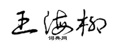 曾庆福王海柳草书个性签名怎么写