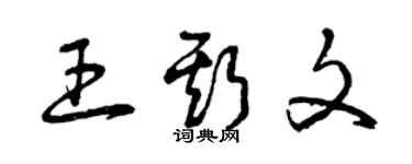 曾庆福王斯文草书个性签名怎么写