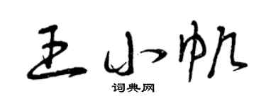 曾庆福王小帆草书个性签名怎么写