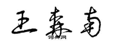 曾庆福王森南草书个性签名怎么写