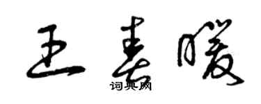 曾庆福王春暖草书个性签名怎么写