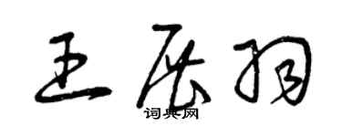 曾庆福王展羽草书个性签名怎么写