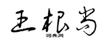 曾庆福王根尚草书个性签名怎么写