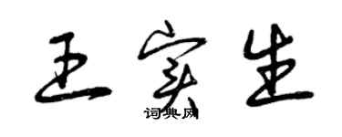 曾庆福王实生草书个性签名怎么写