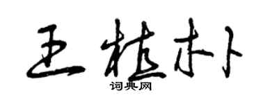 曾庆福王植朴草书个性签名怎么写