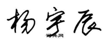 朱锡荣杨宇辰草书个性签名怎么写