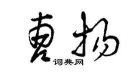曾庆福曹扬草书个性签名怎么写