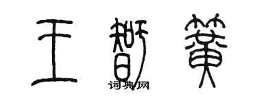 陈墨王智簧篆书个性签名怎么写