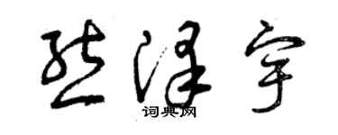 曾庆福熊泽宇草书个性签名怎么写