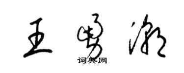 梁锦英王勇潮草书个性签名怎么写
