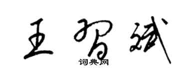 梁锦英王习斌草书个性签名怎么写